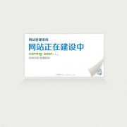 網(wǎng)站建設(shè)